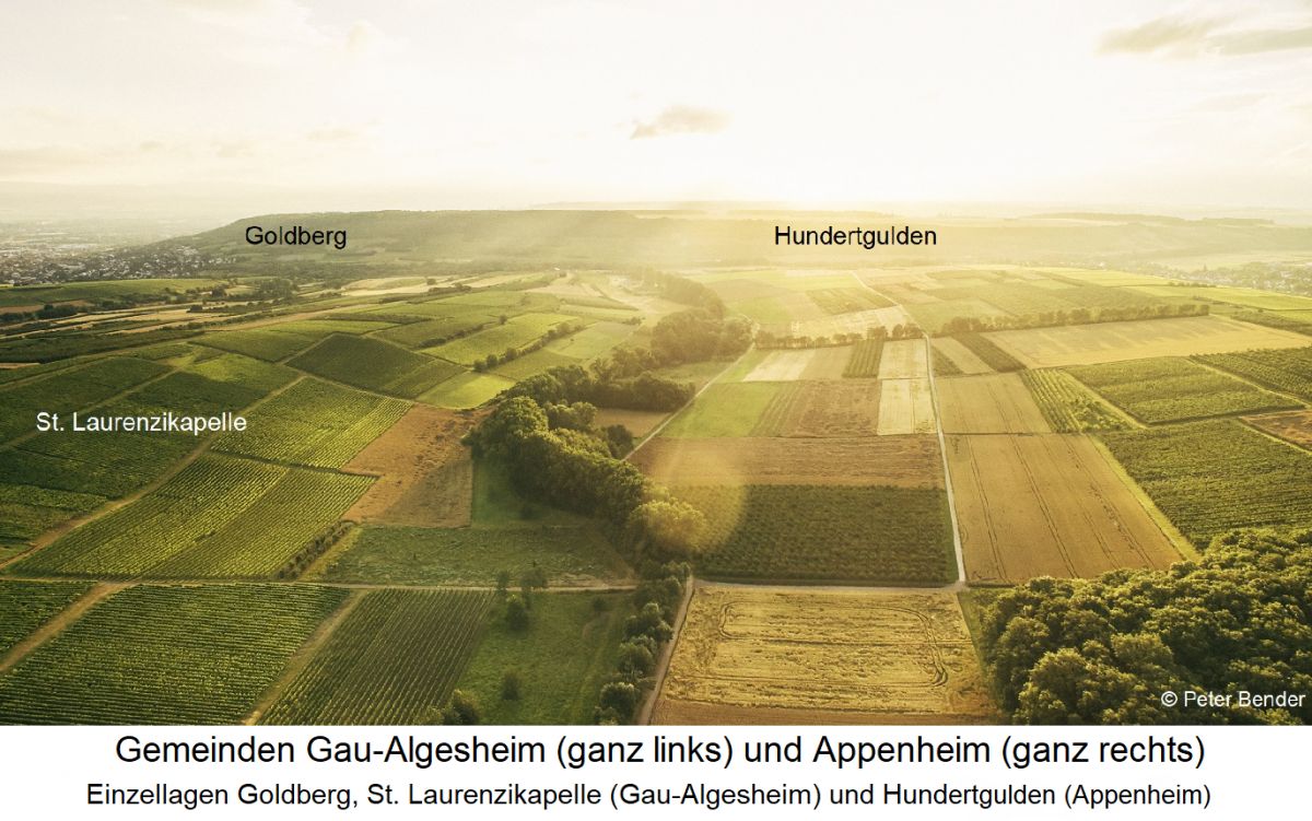 Gemeinden Gau-Algesheim (Goldberg, St. Laurenzikapelle) und Appenheim (Hundertgulden)