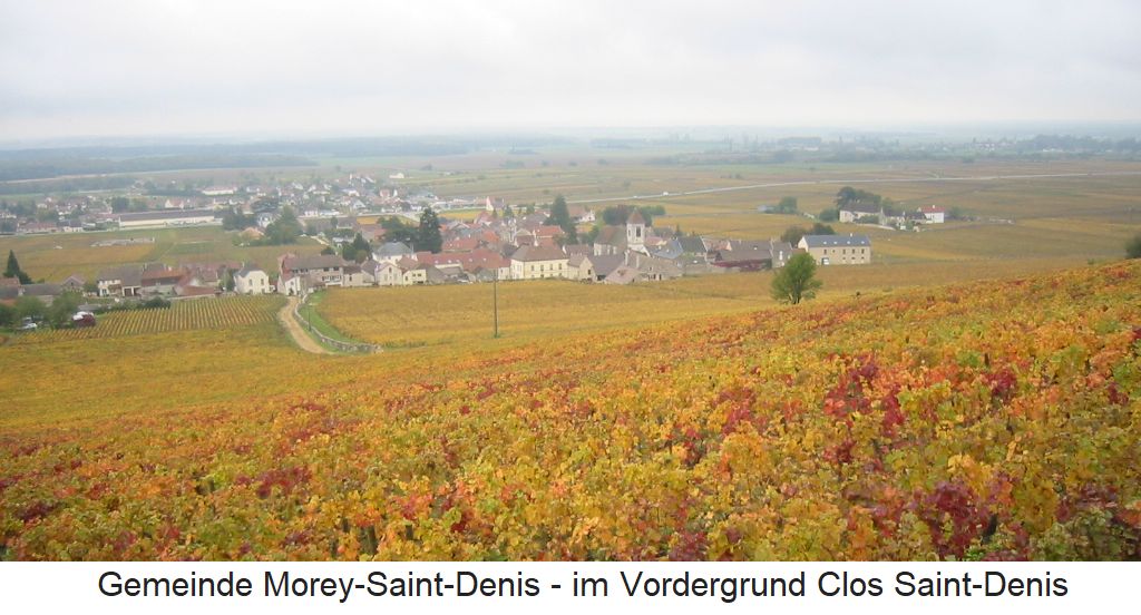 Blick über die Gemeinde Morey-Saint-Denis, im Vordergrund der Clos Saint-Denis