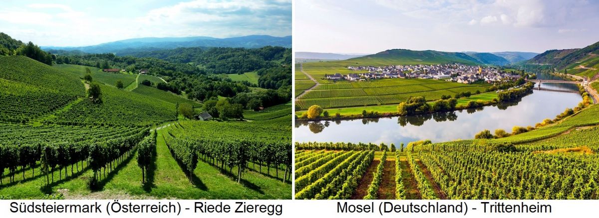 Weinbauwürdigkeit - Süd-Steiermark Riede Zieregg und Mosel Trittenheim