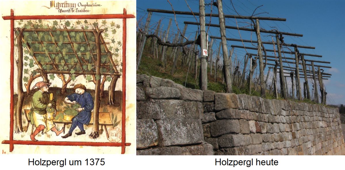 Pergola - Holzpergel 1375 / Holzpergel heute