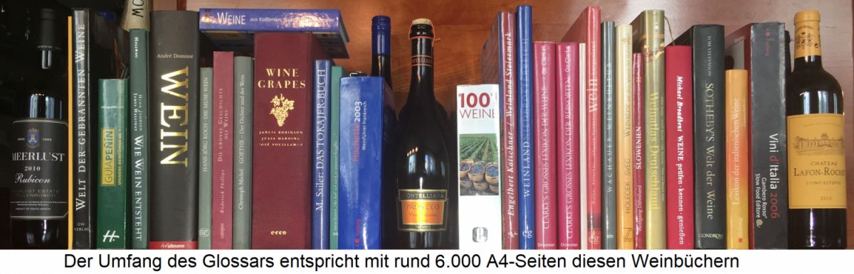 Weinglossar - Buchregal mit vielen Weinbüchern, die dem Umfang des Glossars entsprechen