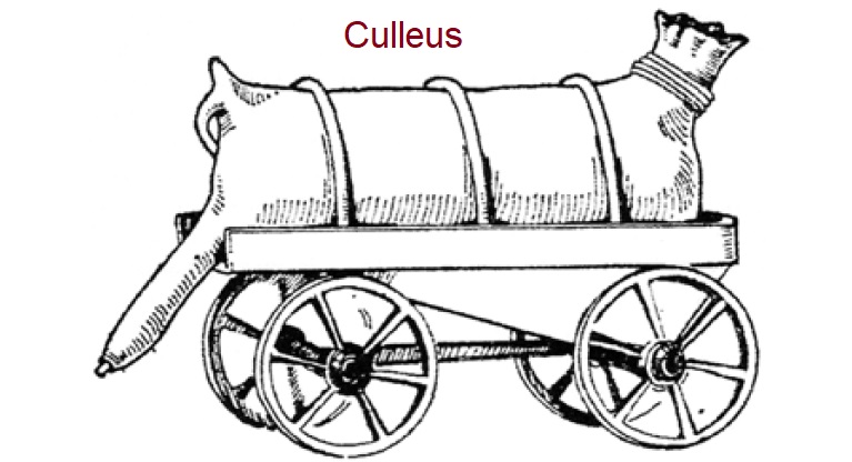 Culleus - Schlauch auf einem Wagen