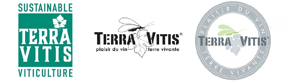 Terra Vitis - Logos
