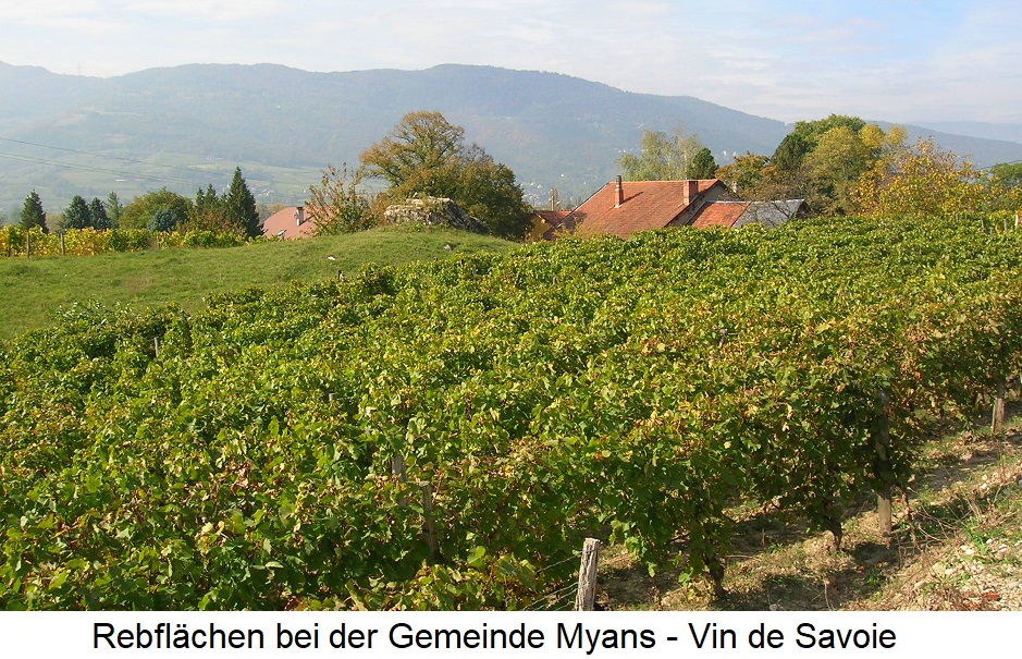 Vin de Savoie - Rebflächen bei der Gemeinde Myans