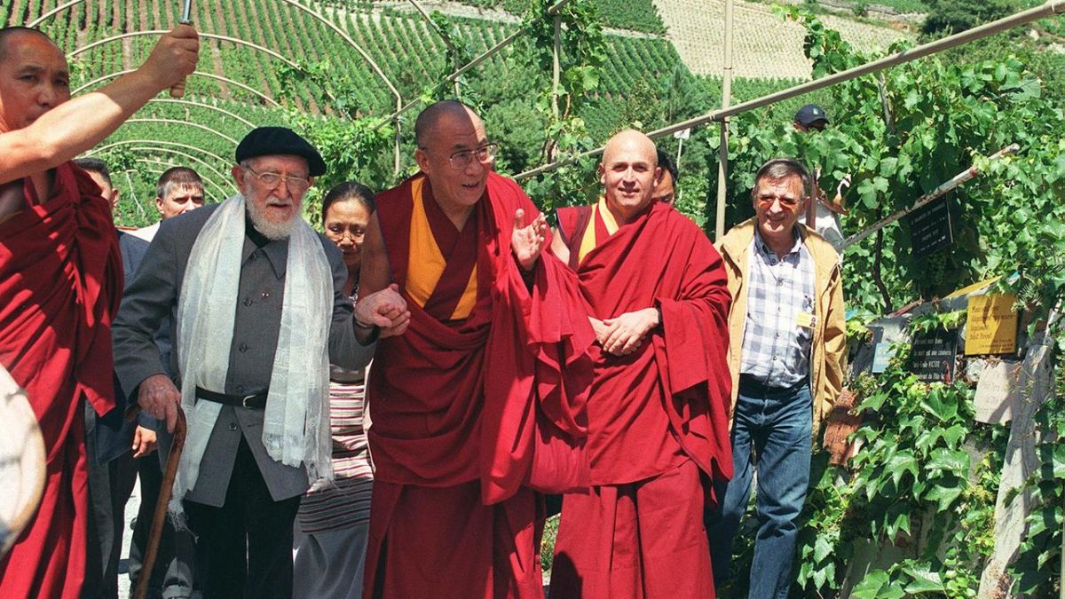 Weinberg des Dalai Lama - Dalai Lama im Weinberg